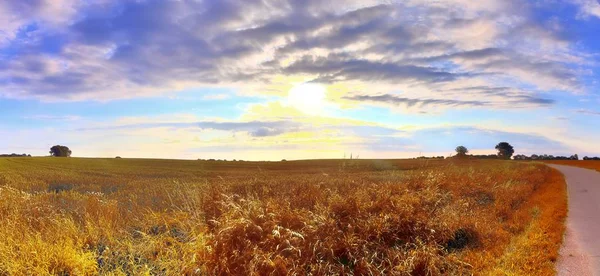 Belo Panorama Uma Paisagem Dourada Outono Com Árvores Céu Azul — Fotografia de Stock