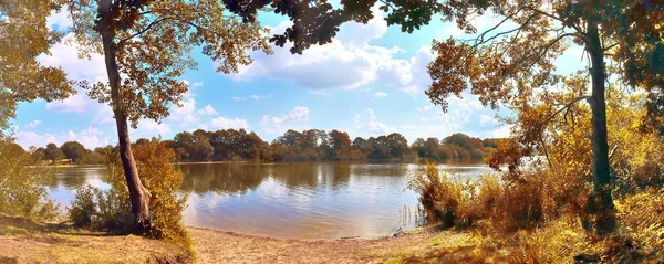 Vackert Panorama Över Ett Gyllene Autmun Landskap Med Träd Och — Stockfoto