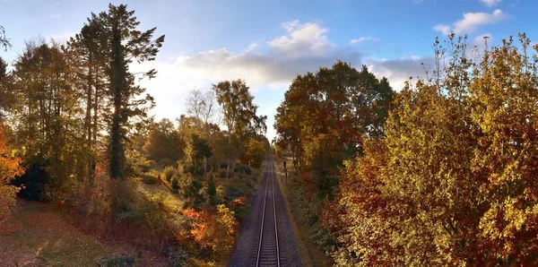 Krásné Panorama Zlaté Podzimní Krajiny Stromy Modrou Oblohou — Stock fotografie