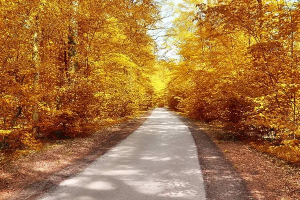 Belle Vue Panoramique Sur Paysage Automne Doré Milieu Octobre — Photo