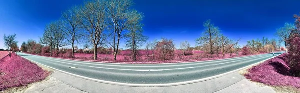 Piękna Różowa Panorama Krajobrazu Podczerwień Głębokim Błękitnym Niebem Wysokiej Rozdzielczości — Zdjęcie stockowe