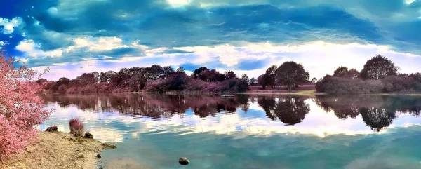 Beautiful Pink Infrared Landscape Panorama Deep Blue Sky High Resolution — Stockfoto