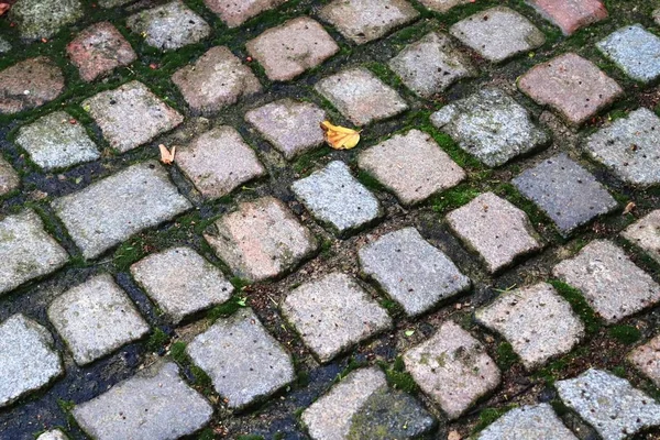 Wysoko Detalowany Widok Bliska Brukowane Tekstur Perspektywy Wysokiej Rozdzielczości — Zdjęcie stockowe