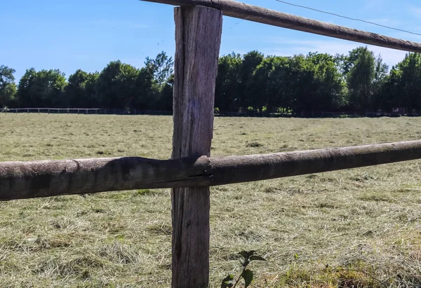 晴れた日には農地で美しい木製の馬柵 — ストック写真