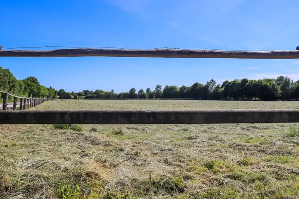 Bela Cerca Cavalo Madeira Campo Agrícola Dia Ensolarado — Fotografia de Stock