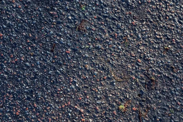 不同街道及道路的沥青路面近景详细视图 — 图库照片