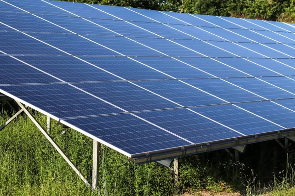 Erzeugung Sauberer Energie Mit Solarmodulen Einem Großen Park Nordeuropa — Stockfoto