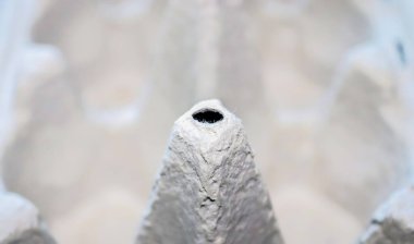 Kartondan yumurta paketleme manzarasını kapat.