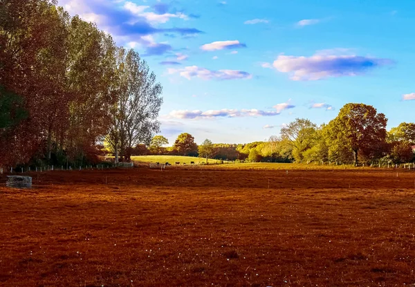 Gyönyörű Panoráma Kilátás Egy Arany Őszi Táj Közepén Október — Stock Fotó