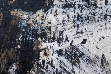 Ayrıntılı ve renkli. Yüksek çözünürlüklü beton duvar dokusunda çatlak ve kabuk soyma boyası..