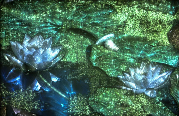 異なる色で輝く高エネルギーのキリリアンフィールドを持つ春の花の3Dイラスト — ストック写真
