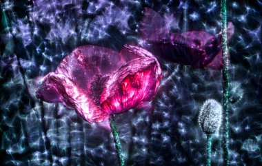 Farklı renklerde parlayan yüksek enerji kirliliğine sahip üç boyutlu bahar çiçekleri.