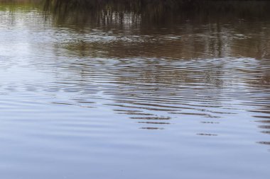 Dalgalar, dalgalar ve güneş ışığı yüzeye yansıyan su yüzeyinin detaylı yakın görüntüsü