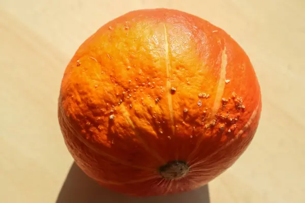 Labu Oranye Yang Indah Dengan Latar Belakang Kayu Selama Masa — Stok Foto