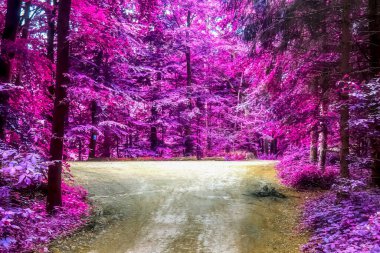 Kırsal bir manzaranın güzel pembe ve mor kızılötesi manzarası mavi gökyüzü.