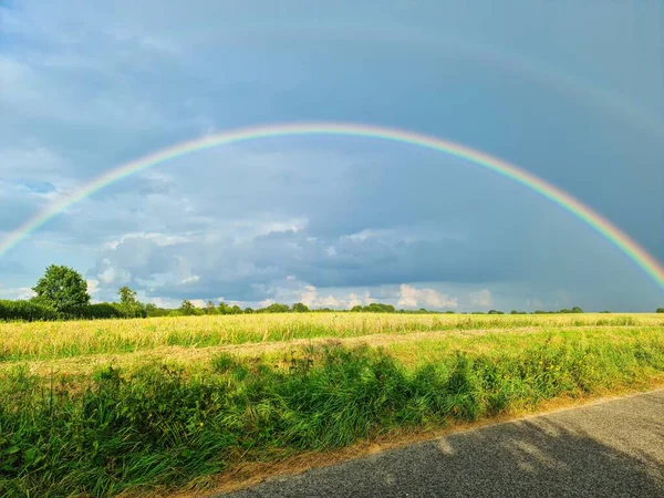 Güzel gökkuşağı hasat edilmiş bir tarlada ve bulutlu bir gökyüzünün altında yeşil çimenler ve ağaçlarla kaplı bir kır yolunda beliriyor.