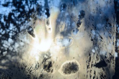 Ayaz üzerinde eritilmiş Izlemeyi palmiye cam