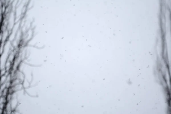 Χειμώνα Blizzard Απόγευμα — Φωτογραφία Αρχείου