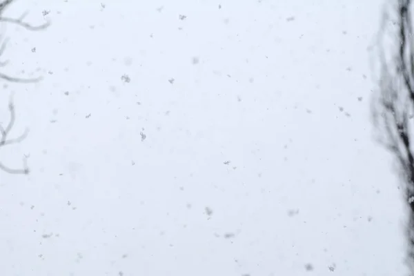 Χειμώνα Blizzard Απόγευμα — Φωτογραφία Αρχείου
