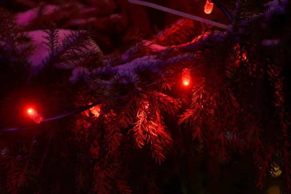 Auf Dunklem Hintergrund Mehrfarbige Weihnachtsbeleuchtung — Stockfoto