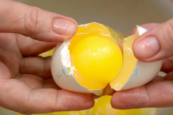 in female hands a broken egg with egg yolk and protein
