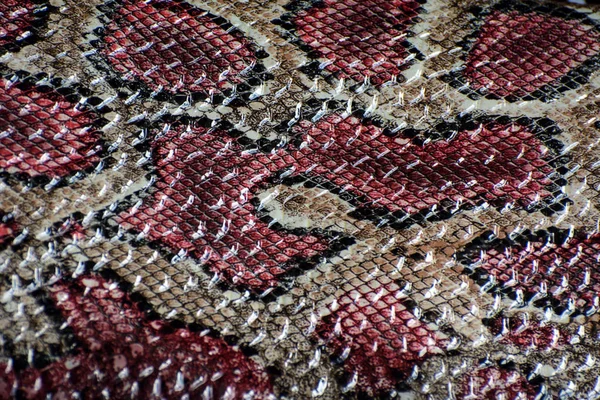 Hadí Kůže Denního Světla Koncept Exotický Podklad — Stock fotografie