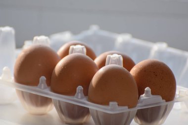 Tavuk yumurtası, güneşin yaktığı plastik bir kapta. Kavram - sağlıklı gıda