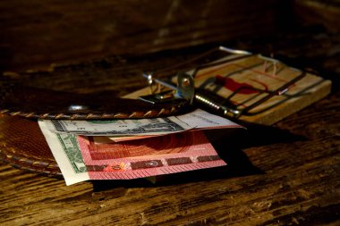 Mousetrap hangi koyu bir arka plan üzerinde dolar ve euro bir vintage cüzdan ile. Konsept-Bedava öğle yemeği diye bir şey yoktur. Riskli mali işlemler, dolandırıcılık 
