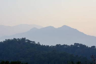 ön planda bir orman ve mavi bir pus arka plan dağlarda. Akdeniz.