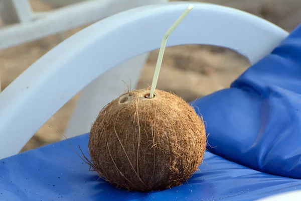 Kokosnuss Mit Strohhalm Auf Einer Strandliege — Stockfoto