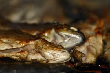 tavada kızarmış alabalık. Konsept - Balık Diyeti