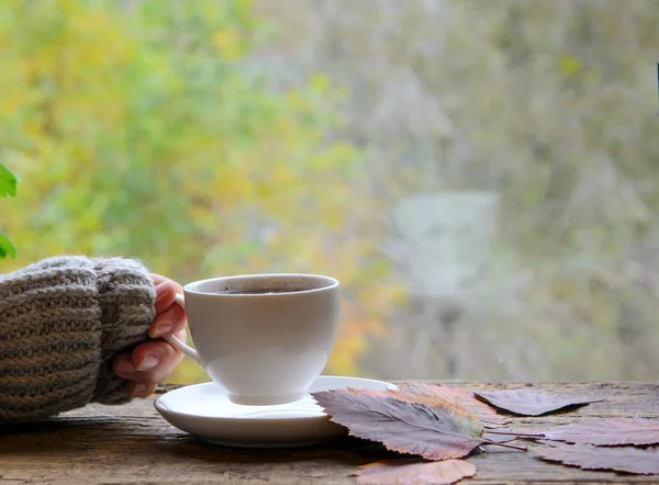 Woman Warm Knitted Sweater Holds Hot Coffee Her Hands Window — Stock Photo, Image