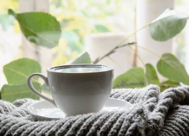 Kış sabahı. Eski bir tahtanın üzerinde bir kazak var. Kazakla, dumanı üstünde bir fincan kahveyle. Kavram - sabah kahvesi, sıcak tutmak