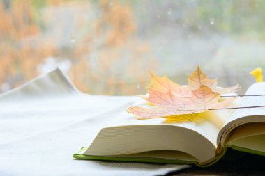 Açık bir kitap beyaz havlunun üzerinde yatıyor. Kitapta sonbahar akçaağaç yaprakları var. Konsept - eğitim, sonbahar sınavları