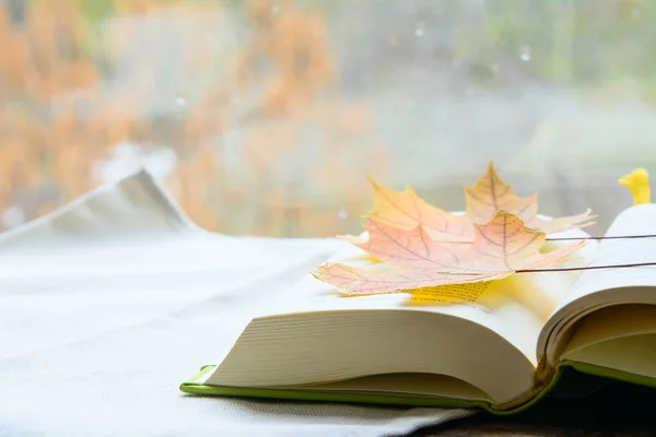 Açık bir kitap beyaz havlunun üzerinde yatıyor. Kitapta sonbahar akçaağaç yaprakları var. Konsept - eğitim, sonbahar sınavları