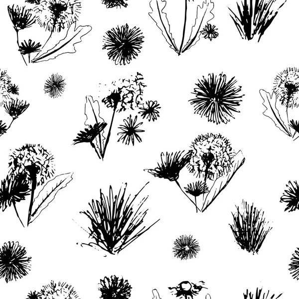 Vector black and white floral dandelions blowballs and daisies seamless pattern background