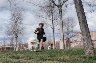 50 yaşındaki kadın yürür, egzersizler ve onu Bichon köpekler sahiptir.