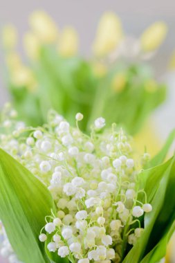 Zambak güzel bir buket yeşil yaprakları ile vadi çiçekler bulanık arka plan ile yakın çekim