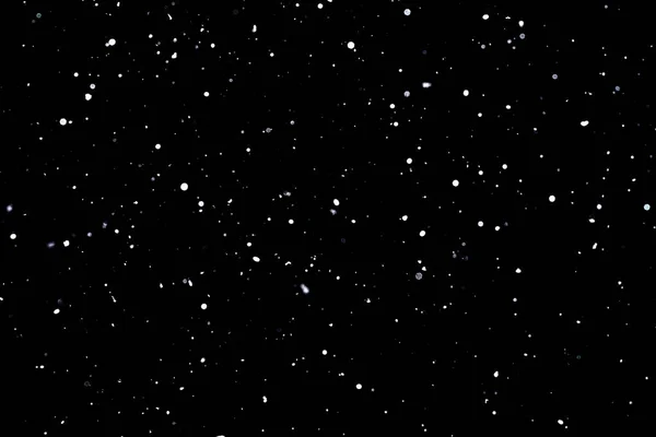 Siyah arka plan Snowflakes havada uçan kar düşen.