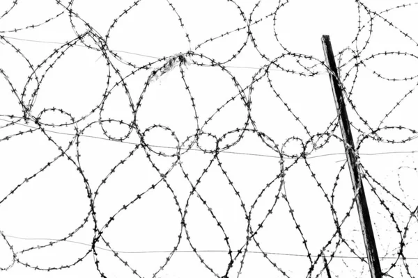Стальные нити из колючей проволоки на заборе тюрьмы против серого неба — стоковое фото