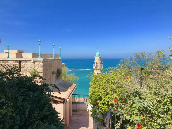 İsrail, eski Jaffa deniz manzarası