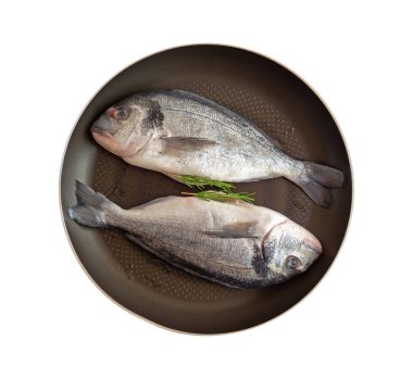 İzole taze balık temizlenir ve beyaz bir arka plan üzerinde yağ da bir tavada biberiye sprigs ile pişirme için hazırlanmıştır. Az önce bir Dorado yakaladım. Sağlıklı gıda