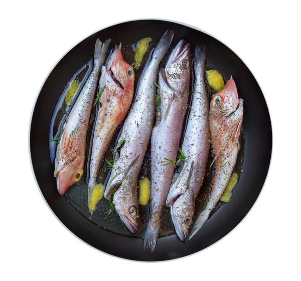 Peixe Fresco Isolado Limpo Preparado Para Cozinhar Com Raminhos Alecrim — Fotografia de Stock