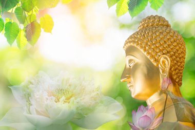 lotus çiçeği veya nilüfer ve Buda heykelinin yüz çift pozlama. Budizm Çin Japonya ve Tay insanlar popüler yani buda birçok kültür Tayland dahil.