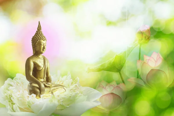 lotus çiçeği veya nilüfer ve Buda heykelinin yüz çift pozlama. Budizm Çin Japonya ve Tay insanlar popüler yani buda birçok kültür Tayland dahil.