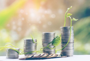 Para tasarrufu tasarruf paralar - finans ve bankacılık, yatırım ve faiz kavramı içinde büyüyen bitki veya artan kavramı ilgi