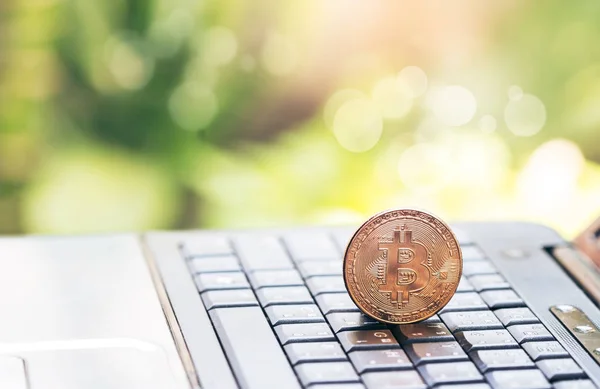 Digital money Bitcoin are placed on the notebook\'s keyboard.  photo Bitcoin,exchange virtual value, crypto digital money . Green bokeh background from nature forest.Investing With Digital Mon