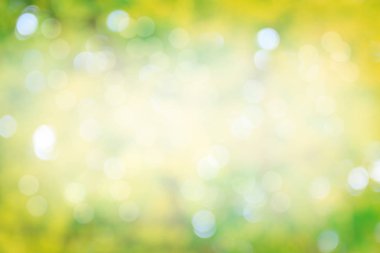 Doğa soyut üzerinde yeşil bokeh arka plan yeşil bokeh ağaçtan bulanıklık. Görüntü için alay. Montaj ürün, afiş veya başlığı için reklam sosyal medya, bahar ve yaz.