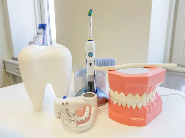Zahnarztpraxis. Kieferorthopädisches Modell und Zahnarzt — Stockfoto