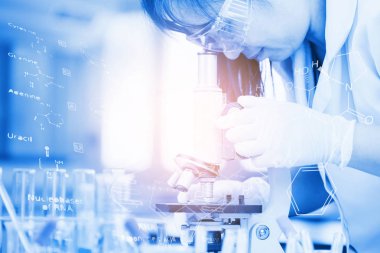 Yaşam bilimi laboratuvarında çalışan sağlık araştırmacıları.